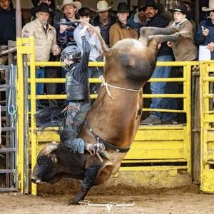 Meet your Posher, Phillip